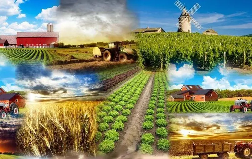 کشت فراسرزمینی؛ راه‌حلی روی کاغذ یا راهبردی برای عبور از بحران آب؟