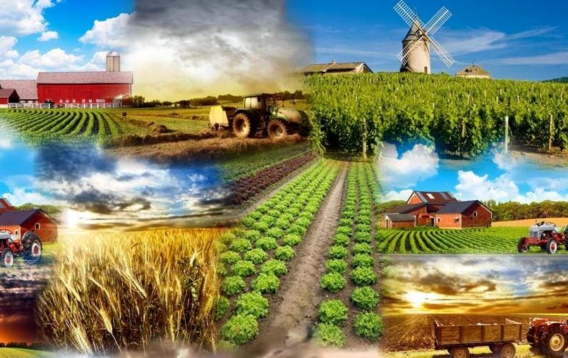 کشت فراسرزمینی؛ راه‌حلی روی کاغذ یا راهبردی برای عبور از بحران آب؟