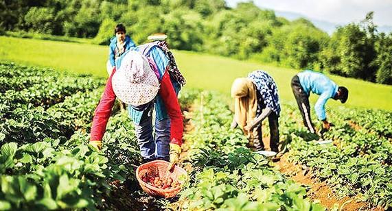صندوق بیمه اجتماعی با ۲۰ سال خدمت و بیش از ۳ میلیون عضو فعال