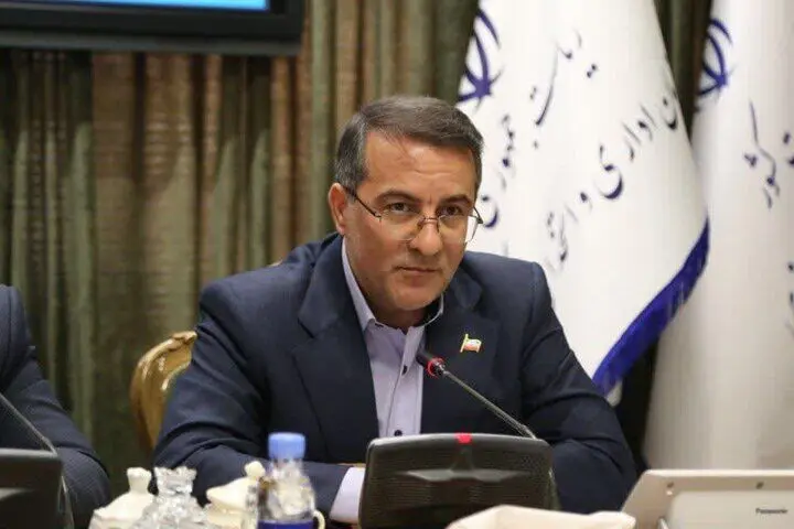 رفیع‌زاده: تعطیلی ادارات تصمیم اول ما نبود، اما ناگزیر بودیم