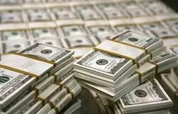 دخالت رانت‌خواران ارز ترجیحی در ناآرامی‌های اخیر/دولت از سیاست حذف ارز ترجیحی کوتاه نیاید