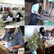 ثبت‌نام بیش از ۵۵ هزار بنگاه در طرح حمایت از اشتغال؛ ۵۳۶ هزار شغل تحت پوشش