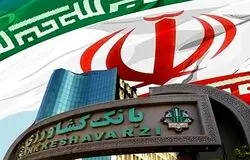 تقسیم شش‌گانه بانک‌ها در دستور کار بانک مرکزی/پایان بنگاه‌داری نزدیک است؟