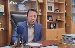 معاون وزیر رفاه: حذف سه دهک از کالابرگ منطقی نیست + فیلم