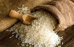 آرامش به بازار برنج باز می‌گردد؟