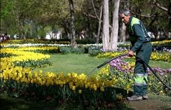 جایگزینی کارگران ایرانی به جای اتباع خارجی/ تهران پیشتاز شد