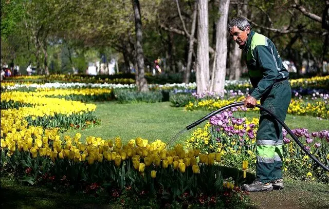 جایگزینی کارگران ایرانی به جای اتباع خارجی/ تهران پیشتاز شد