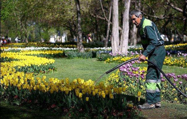 جایگزینی کارگران ایرانی به جای اتباع خارجی/ تهران پیشتاز شد