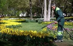 جایگزینی کارگران ایرانی به جای اتباع خارجی/ تهران پیشتاز شد