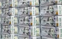 حباب «دلار تلگرامی» ترکید؟ بازار آزاد در مسیر آرامش