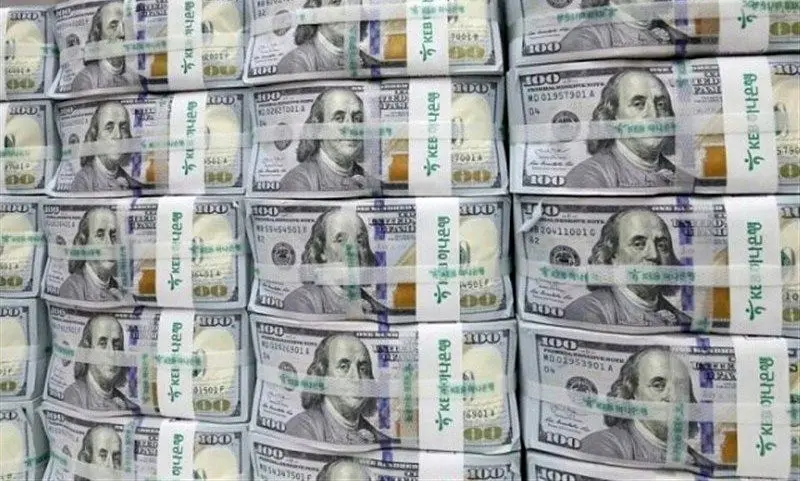 حباب «دلار تلگرامی» ترکید؟ بازار آزاد در مسیر آرامش