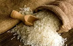بازار برنج پس از حذف ارز ترجیحی؛ فرصت برای خودکفایی یا افزایش قیمت؟