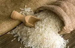 بازار برنج پس از حذف ارز ترجیحی؛ فرصت برای خودکفایی یا افزایش قیمت؟
