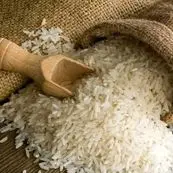 بازار برنج پس از حذف ارز ترجیحی؛ فرصت برای خودکفایی یا افزایش قیمت؟