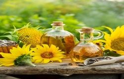 وقتی کشاورز، بذر سود می‌پاشد نه امنیت غذایی/روغن ایرانی در محاصره واردات