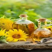 وقتی کشاورز، بذر سود می‌پاشد نه امنیت غذایی/روغن ایرانی در محاصره واردات