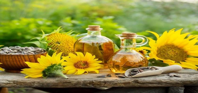 وقتی کشاورز، بذر سود میپاشد نه امنیت غذایی/روغن ایرانی در محاصره واردات