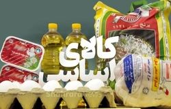 چهار گام دولت برای تسهیل واردات کالاهای اساسی؛ امید به ثبات بازار با سیاست‌های ارزی جدید