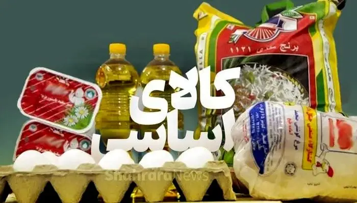 چهار گام دولت برای تسهیل واردات کالاهای اساسی؛ امید به ثبات بازار با سیاست‌های ارزی جدید