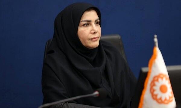 راه‌اندازی اولین کارگروه تخصصی شبکه ملی اشتغال در بهزیستی
