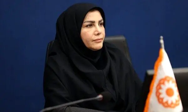 راه‌اندازی اولین کارگروه تخصصی شبکه ملی اشتغال در بهزیستی