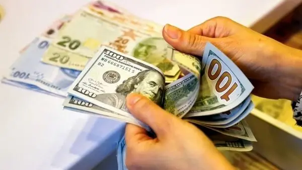  ارز دولتی فقط برای کالاهای اساسی/ بانک مرکزی از دخالت در نرخ ارز  بپرهیزد