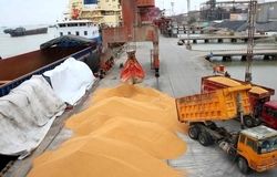 خرید و فروش نهاده دامی خارج از سامانه بازارگاه ممنوع شد