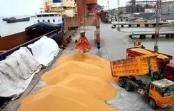 خرید و فروش نهاده دامی خارج از سامانه بازارگاه ممنوع شد