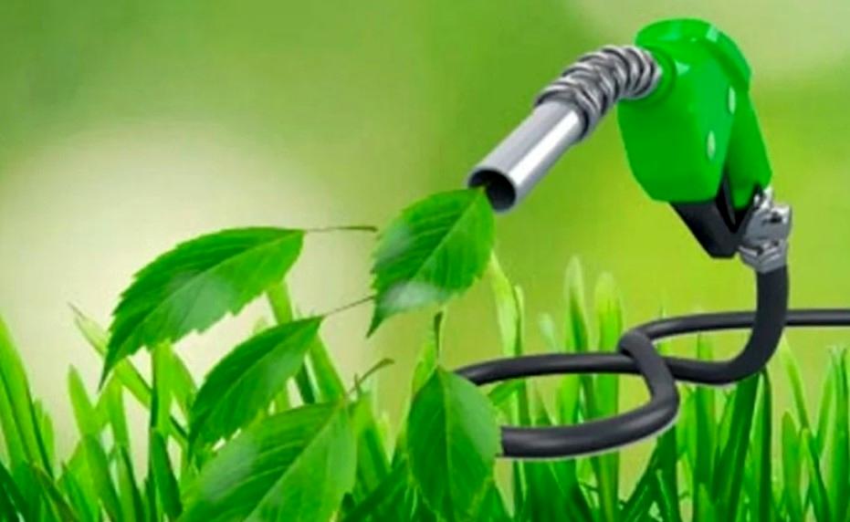 گام بلند ایران بهسوی انرژیهای سبز؛ امضای توافقنامه تولید بنزین زیستی